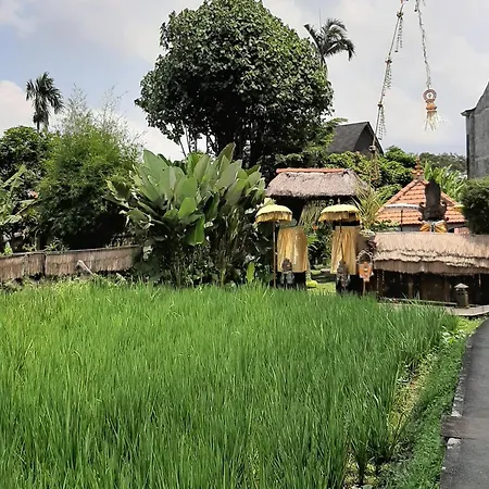 Ubud Hidden Villa Yone Village-3
